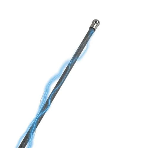 Hidden Desire Electro Shock Cane from Nice 'n' Naughty