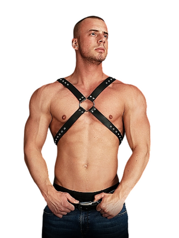 Ouch! Adonis High Halter Harness